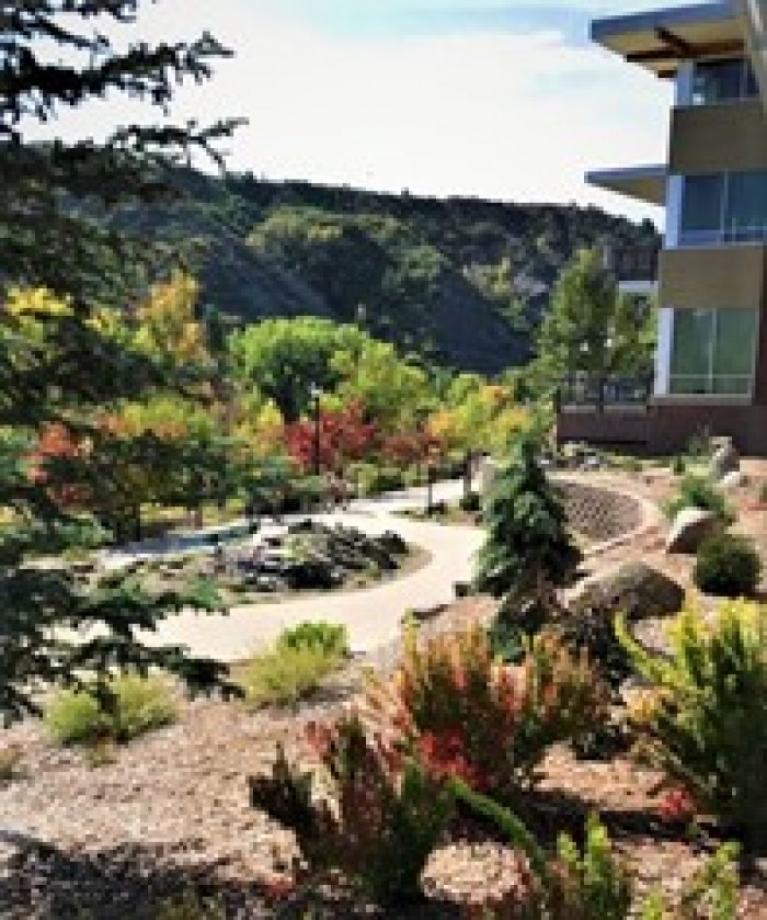 Colorful fall flowerbeds at the Durango Botanic Gardens