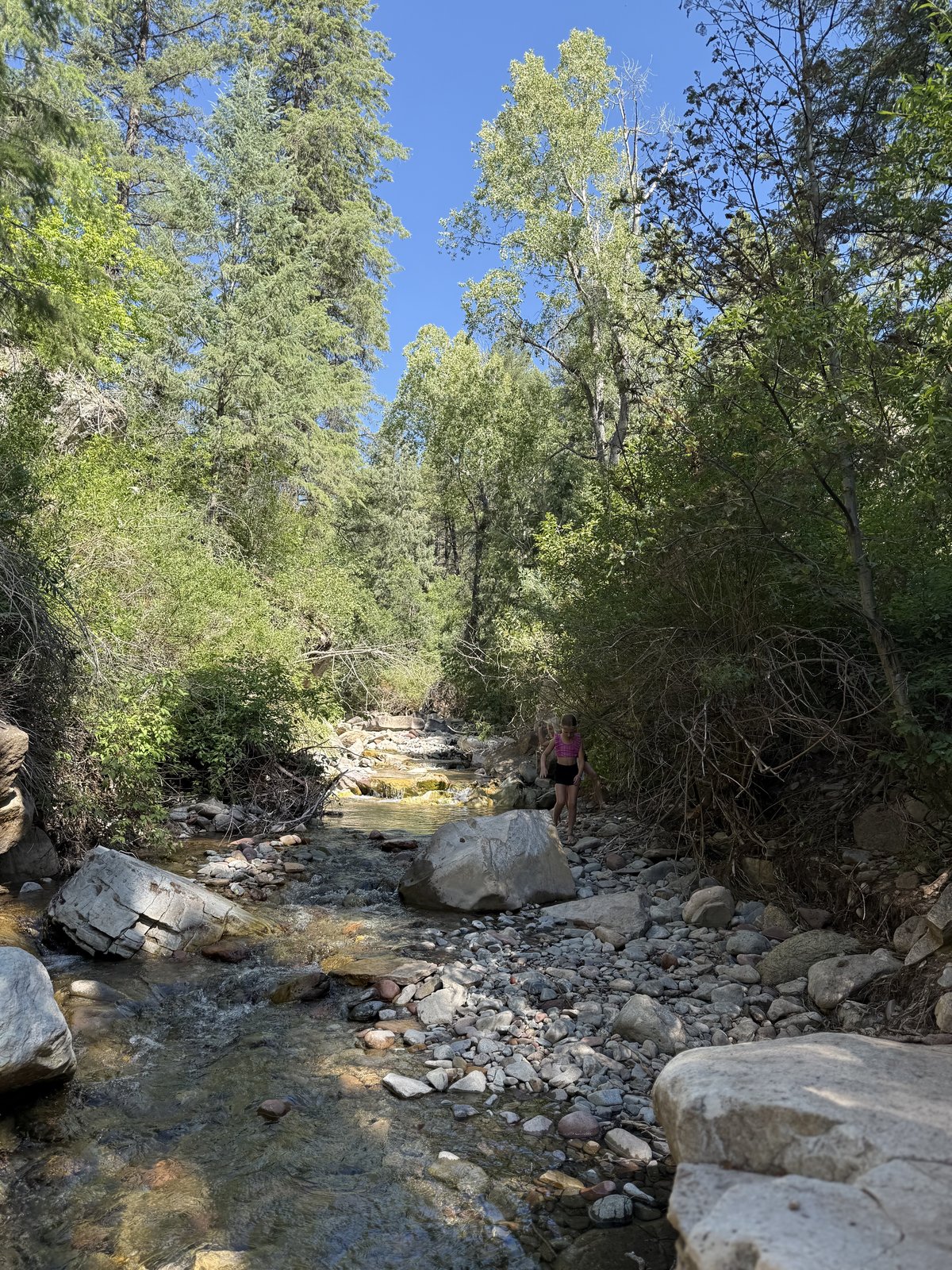 Mountain creek with boulders and trees